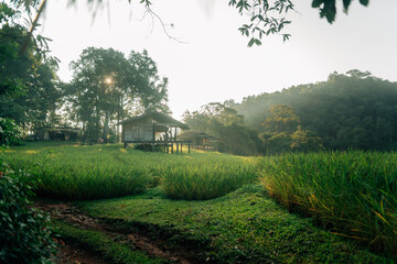 Naklejka premium The scenery and tranquility of the huts and rice fields in the morning