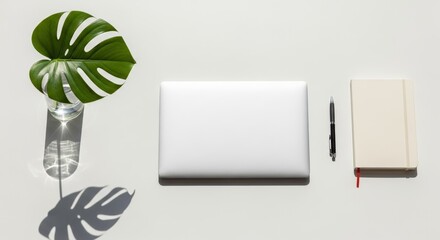 Describe the main subject plant, laptop, notebook, pen), including details,