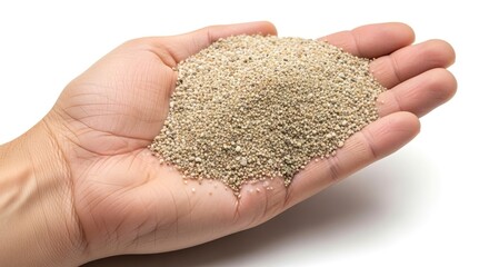 A human hand holds a pile of small round tancolored particles against a plain white background