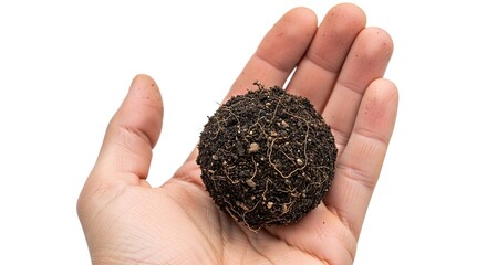 Hand holds soil and roots isolated on white