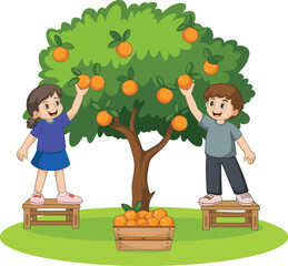 Children harvesting oranges, cartoon fruit picking scene, orange tree illustration, happy kids farming, wooden crate, basket, ripe citrus, outdoor garden