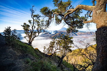 Amazing View beautiful landscape nature view in the morning at Indonesia