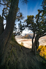 Fototapeta premium Amazing View beautiful landscape nature view in the morning at Indonesia