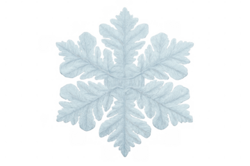 Ice crystal snowflake with transparent background, displaying intricate natural patterns and symmetrical winter beauty
