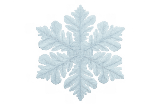 Ice crystal snowflake with transparent background, displaying intricate natural patterns and symmetrical winter beauty