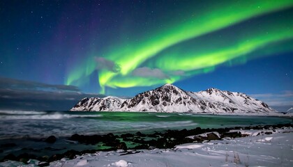 Green and purple aurora borealis over snow-capped mountains meeting the ocean under a starry night sky