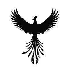 Black phoenix silhouette with spread wings and long tail feathers isolated on white background