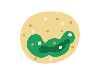 Basophil White Blood Cell Illustration
