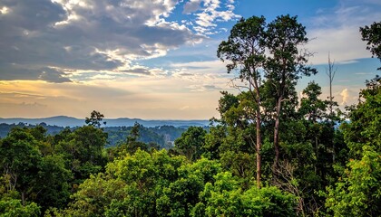 Obraz premium Vast vibrant green jungle landscape with dense tree canopies stretching under a dynamic cloudy sky
