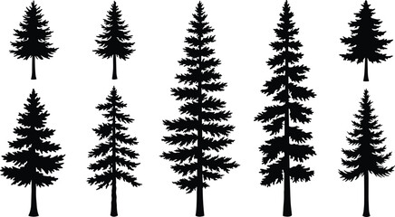 Conifer tree silhouettes, evergreen forest icons, pine tree shapes, nature graphic elements, black tree illustration set, botanical vector trees
