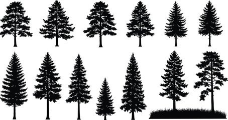 Conifer tree silhouettes, evergreen forest shapes, pine tree icons, nature illustration set, black vector trees, botanical graphic elements, landscape design