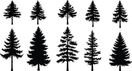 Conifer tree silhouettes, black pine shapes, evergreen forest icons, botanical tree forms, nature elements, isolated trees, vector illustration set