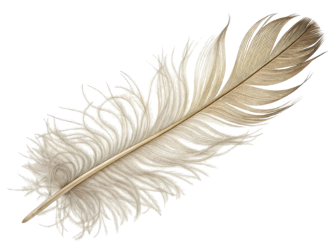 Single soft white bird feather isolated on transparent background. peaceful and gentle symbol of lightness, nature, flight and writing - Powered by Adobe