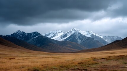 Fototapeta premium Dramatic snow capped mountain range under a stormy overcast sky with golden grassland in the foreground