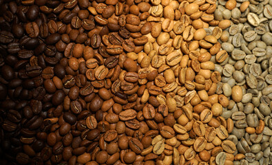 Coffee beans color from green to dark roast. Macro texture of roasted coffee beans background. Dark roasted arabica beans. Gradient of roasted coffee. Fresh roasted coffee bean pattern.