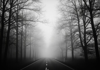 A foggy morning road surrounded by trees with soft natural blur and muted tones, evoking calm and mystery.