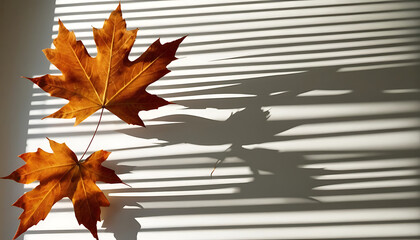 Artistic product staging with cinematic lighting, high-contrast shadow play, calm palette and spacious negative space, ready for advertising or web hero banner