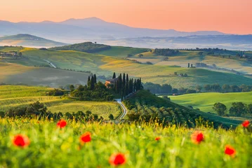 Fototapete Toskana Val d'Orcia, Tuscany. Podere in San Quirico d'Orcia, beautiful spring tuscan landscape in Italy.  © ecstk22