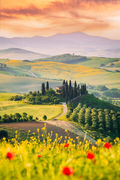 Val d'Orcia, Tuscany. Podere in San Quirico d'Orcia, beautiful spring tuscan landscape in Italy.