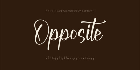 Hand drawn vector alphabet. Modern monoline signature script font. Elegant Signature Font. Best Alphabet Beautiful Calligraphy Signature Font lettering