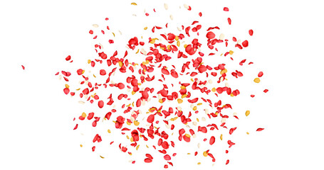 Colorful rose petals sway in the wind. Isolated on alpha background. 3D rendering.