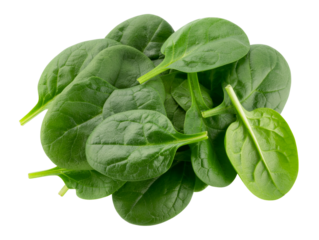 Fresh spinach leaves, vibrant green, isolated on transparent background. Healthy eating