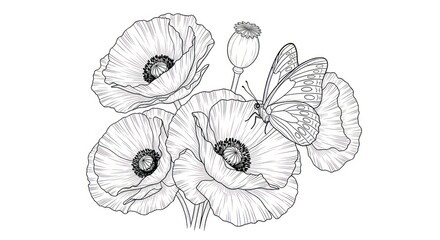 Detailed black and white illustration of poppies and a butterfly on white background