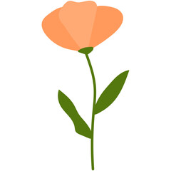 Cute Flower Illustration