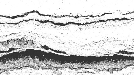 Fototapeta premium Abstract black and white textured background with wavy lines and speckles vector