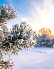 Frost-covered pine needles against a backdrop of a winter scene at dawn