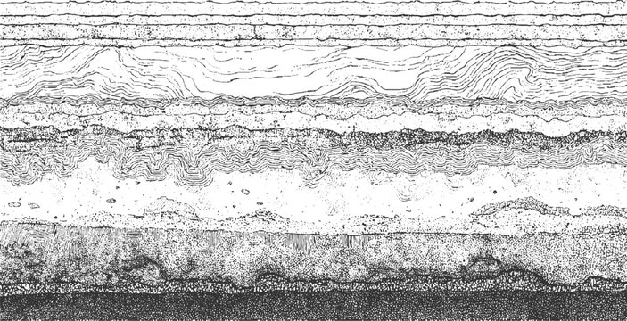Black and white cross section of geological strata with wavy lines and stippled textures geology layers