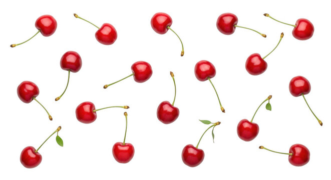 Scattered cherries isolated on transparent background create a vibrant pattern