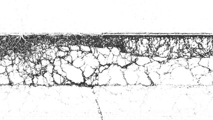 Abstract black and white cracked texture with organic root-like patterns background