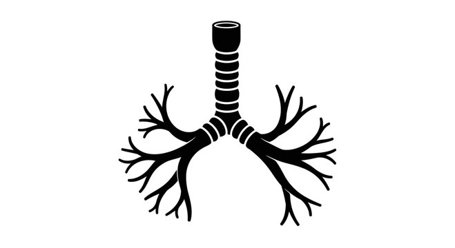Black silhouette of human lungs and trachea