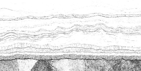 Black and white abstract layered geological strata cross section with textured bands and wavy lines background