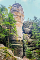 Fototapety na wymiar - Fototapeta24.pl