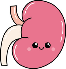 hand drawn cute kawaii kidney anatomy illustration