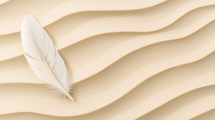 A single white feather rests on a sandy surface.