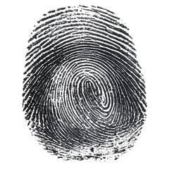 A magnified image of a human fingerprint, showing intricate patterns of ridges and whorls in a black and white close-up