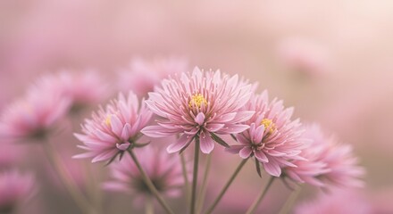 Obraz premium Abstract blurred floral background texture with soft pastel colors, perfect for graphic design or peaceful digital art, subtle, pastel, light