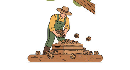 Farmer Harvesting Walnuts, Vector Illustration of Agricultural Worker and Seasonal Foods
