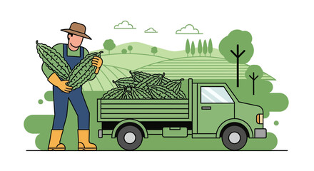 Farmer Loading Pick Up Truck With Harvested Gourd From Field During Daytime