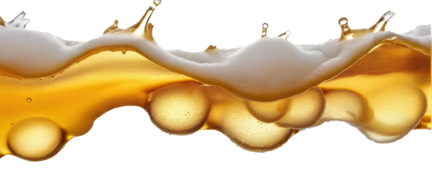 beer splashes, foam on a transparent background