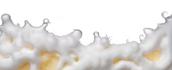 beer splashes, foam on a transparent background
