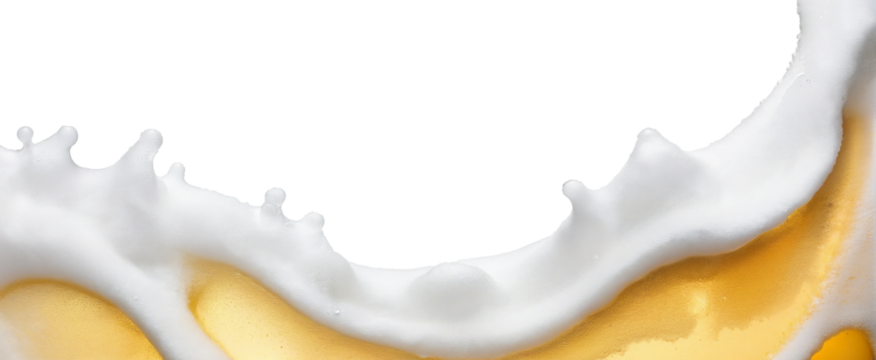 beer splashes, foam on a transparent background