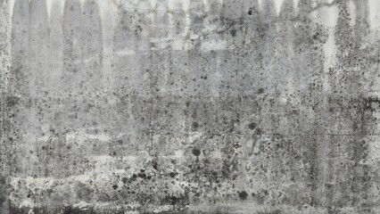 The old grey plaster wall is stained and peeling. The wall has a dark black stain from time. The wall of an ancient building. Texture and background image.