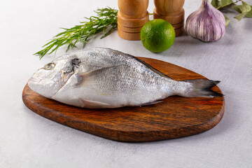 Raw fresh uncooked dorada fish