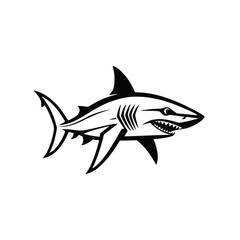 Naklejka premium Outline style shark. Isolated fish