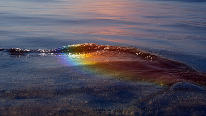 Obraz premium Oil spill with rainbow sheen floating on sea surface under morning light. Environmental pollution highlighting global ecological problem..