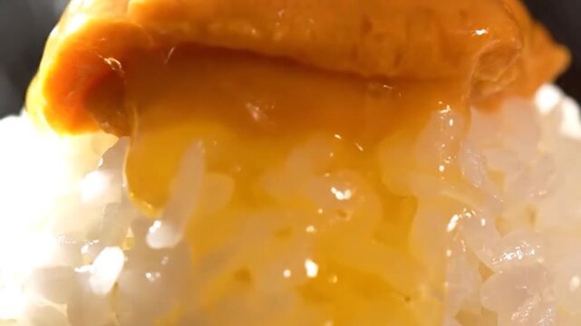 Close-up of Uni Sea Urchin Roe Topping Fresh White Rice in Japanese Cuisine